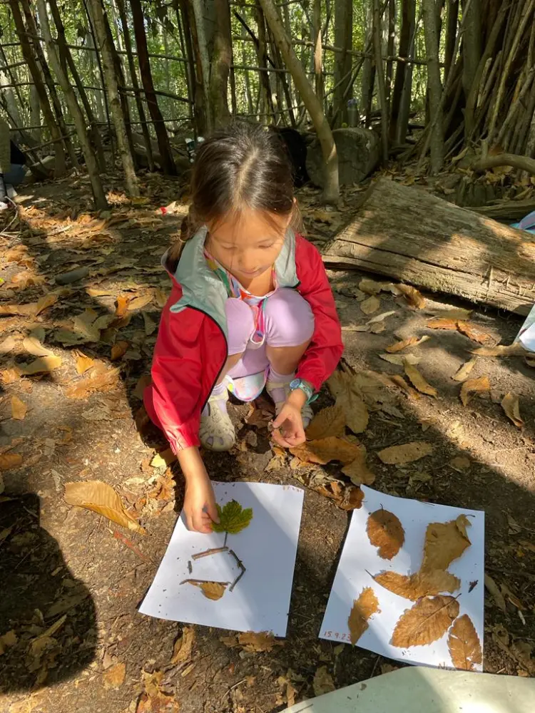 Potager pédagogique