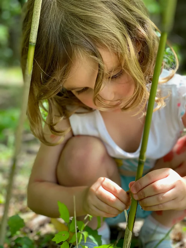 Ecole internationale Montessori -3-6_Dans la nature 1